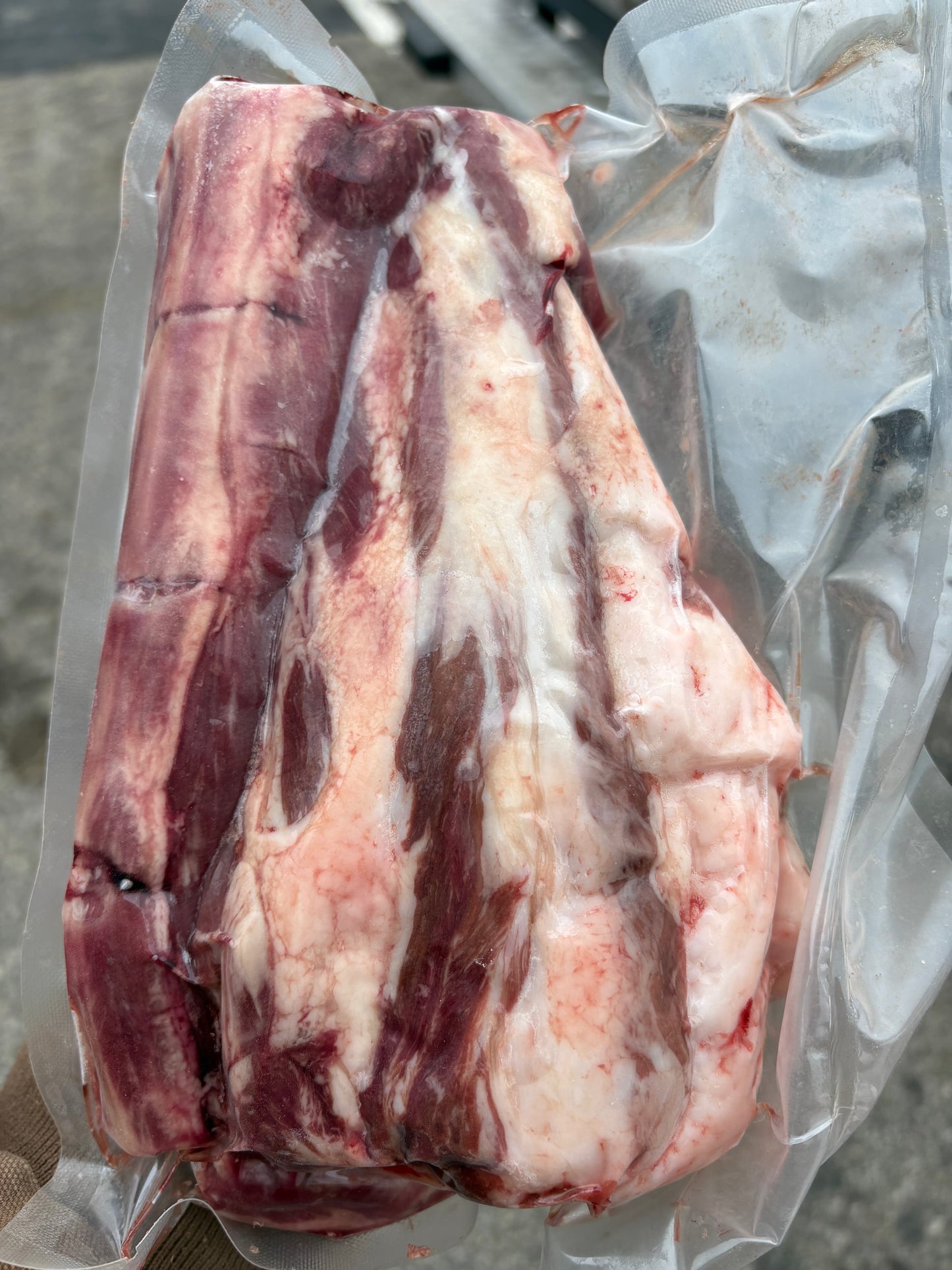 Oxtail